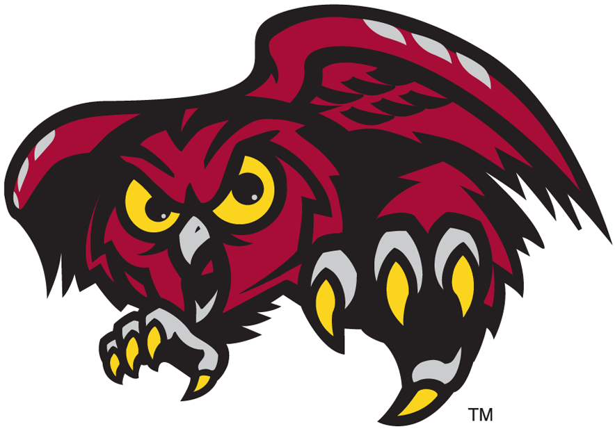 Temple Owls 1996-Pres Alternate Logo v3 iron on transfers for fabric